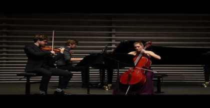 Joseph Marx, Trio Phantasie