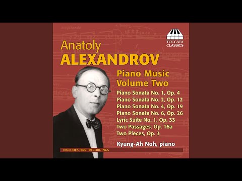 Piano Sonata No. 2 in D Minor, Op. 12: Allegro agitato